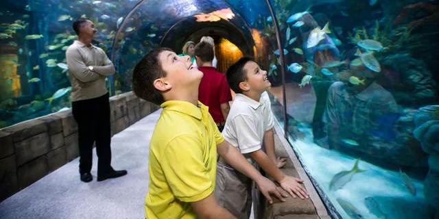 New Orleans Audubon Aquarium and Insectarium Ticket - Image 1
