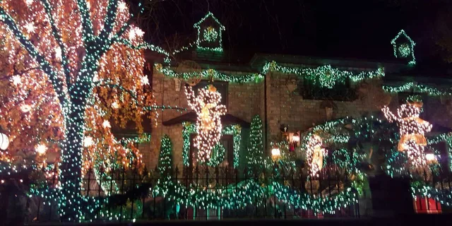New York City Dyker Heights Christmas Lights Tour - Image 5