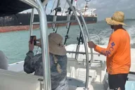 Port Aransas Dolphin Watch Boat Tour thumbnail 6