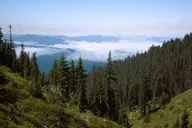 Seattle Snoqualmie Falls Private Tour 5 hr thumbnail 6