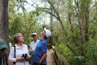 Miami Everglades Tour with Boat Trip and Hikes thumbnail 2