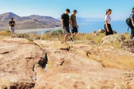 Salt Lake City Great Salt Lake Antelope Island Tour thumbnail 1