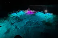 Crystal River Clear Kayak Sunset and Glow Tour thumbnail 3