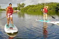 Miami Kayak and Paddleboard Rentals thumbnail 4