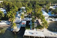 Key Largo Scuba Dive for Certified Divers 4 hr thumbnail 6