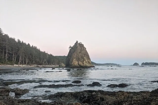 Rialto Beach Tide Pooling Hike - Image 6