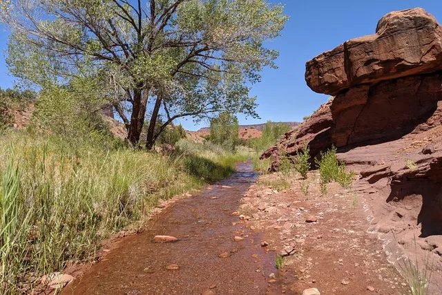 Moab Slot Canyon Hike Adventure - Image 4