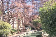 San Antonio Historic Walking Tour thumbnail 5