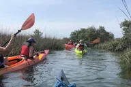 St. Augustine Salt Marsh Kayak Tour thumbnail 3