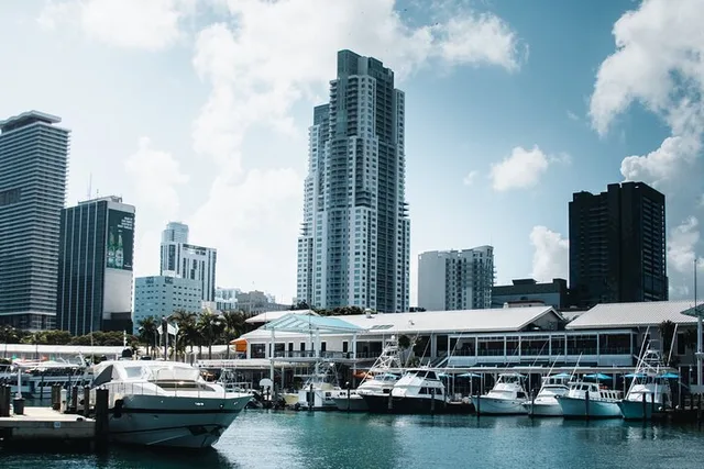 Miami Everglades and City Tour 8 hr - Image 4