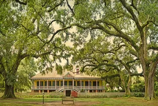 New Orleans Laura Plantation Tour