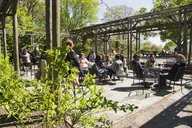 New York Long Island Wine Tour with Lunch thumbnail 6