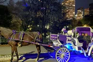 New York City Christmas Lights Horse Carriage Ride thumbnail 3