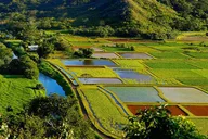 Kauai Highlights and Movie Sites Tour thumbnail 3