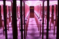 Houston Buffalo Bayou Park Cistern History Tour thumbnail 6