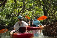 Sarasota Kayak and Food Tour thumbnail 2