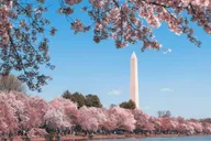 Washington DC Monuments & Landmarks Tour thumbnail 1
