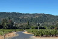Napa Valley Wine Tour with Private Car Service thumbnail 6