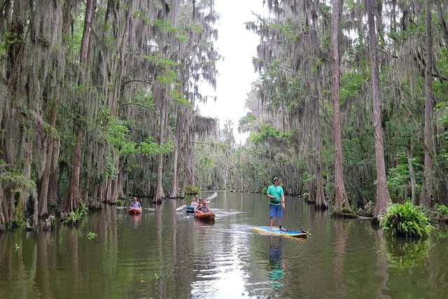 Tavares Wildlife Kayak Tour on Dora Canal - Image 4