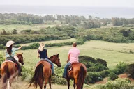 Oahu Horseback Ride at Sunset thumbnail 4