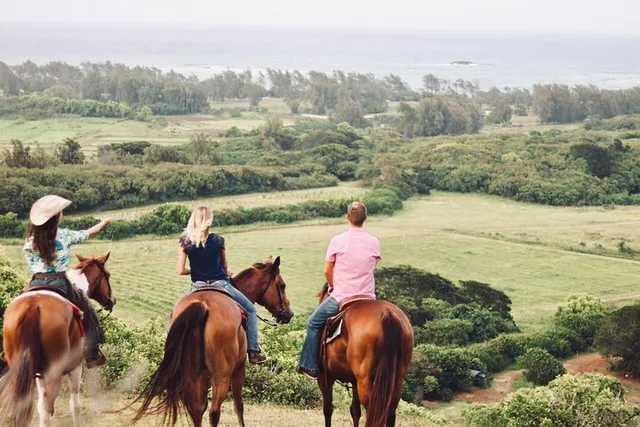 Oahu Horseback Ride at Sunset - Image 4