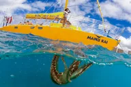 Honolulu Swim, Snorkel & Sail 2 hr thumbnail 3