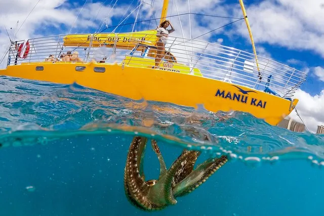 Honolulu Swim, Snorkel & Sail 2 hr - Image 3