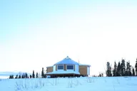 Fairbanks Northern Lights Dog Sled Tour with Dinner thumbnail 4