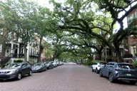 Savannah Historic Driving Tour thumbnail 3