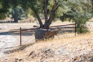 San Luis Obispo Foraging Tour at Margarita Ranch thumbnail 5