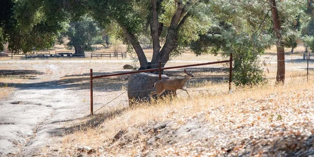 San Luis Obispo Foraging Tour at Margarita Ranch - Image 5