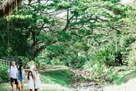 Kauai McBryde Garden Self-Guided Visit 2.5 hr thumbnail 4