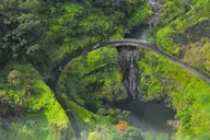 Maui Road to Hana Rainforest Tour with Lunch thumbnail 5