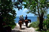 Miami Horseback Riding on Pristine Waters thumbnail 3
