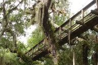 Sarasota Myakka State Park E-bike Safari thumbnail 5