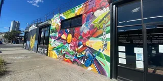 New York City Brooklyn Thrifting Tour