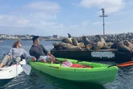 Redondo Beach Kayak Tour with Sea Lions thumbnail 2