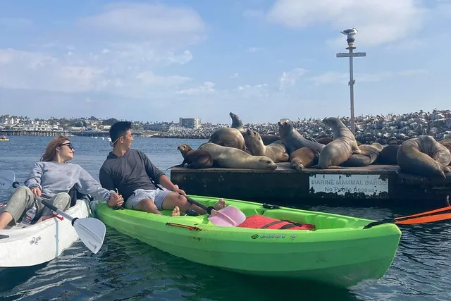 Redondo Beach Kayak Tour with Sea Lions - Image 2