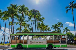Honolulu Trolley Tour 7-Day Pass