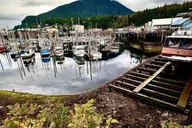 Ketchikan Island Tour with Wild Wolf Tours 3 hr thumbnail 2
