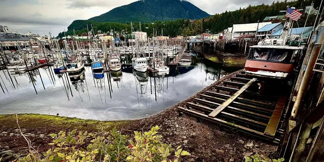 Ketchikan Island Tour with Wild Wolf Tours 3 hr - Image 2