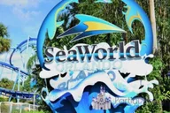 Orlando Day Trip from Miami with Theme Park Admission thumbnail 4