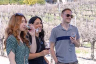 Temecula Valley Wine Tasting Tour 4 hr thumbnail 2