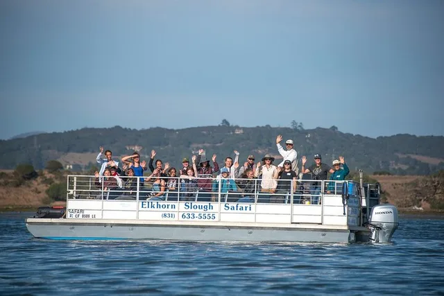 Monterey Bay Wildlife Safari Boat Tour - Image 1
