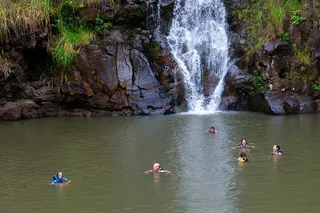 Oahu North Shore & Waimea Waterfall Tour