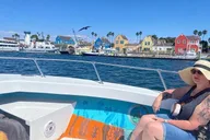 Marina del Rey Sea Life Boat Tour thumbnail 4