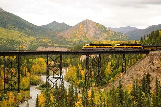 Fairbanks to Denali Train Journey - Image 4