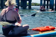Merritt Island Dolphin and Manatee Adventure Tour thumbnail 2