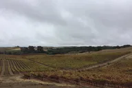 Napa Wine Country Limousine Tour 6 hr thumbnail 4