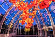 Seattle Chihuly Garden and Glass Tour thumbnail 5
